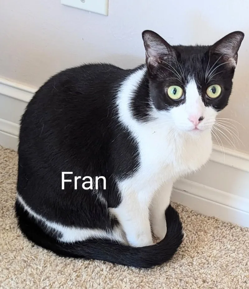 Fran thumbnail 2