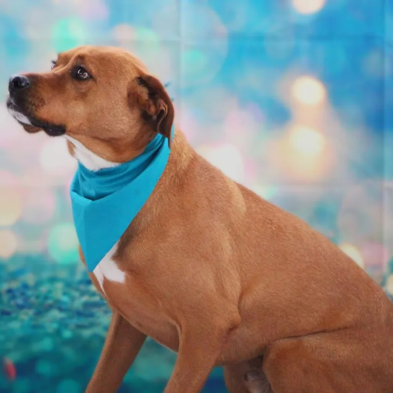 Rhodi Jum thumbnail 6