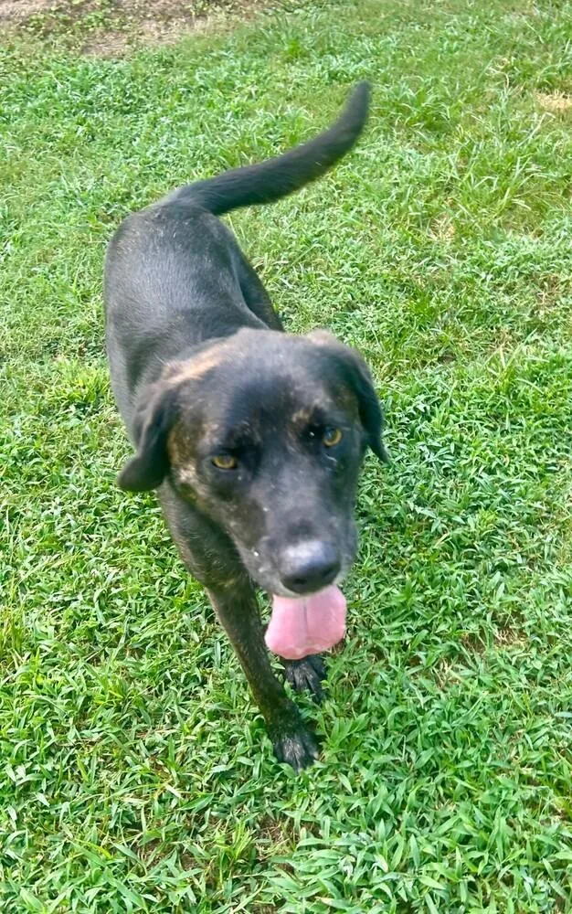 Venice  Aka Vinnie thumbnail 5