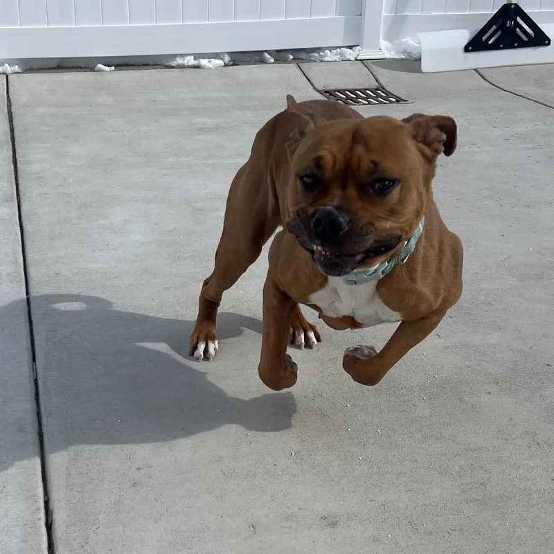 Nala thumbnail 6