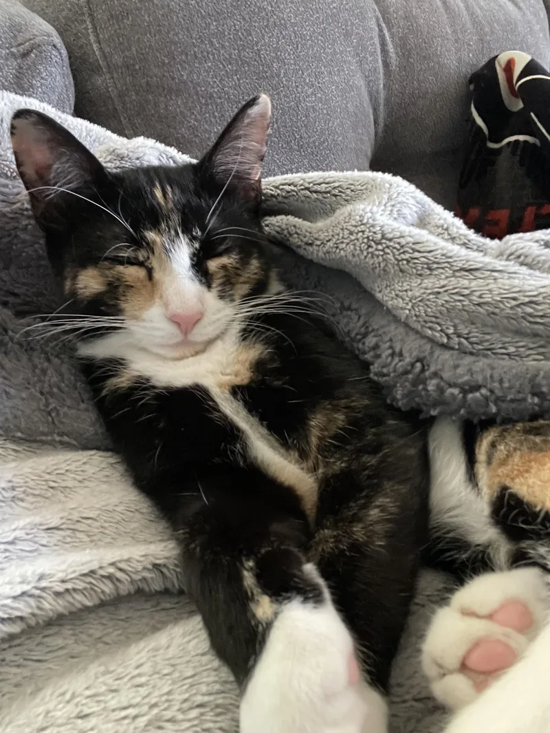 Peaches thumbnail 4