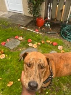 Daring Darwin! thumbnail 3