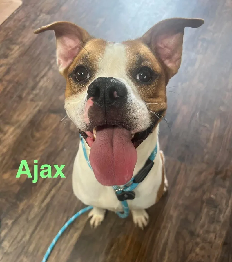 Ajax