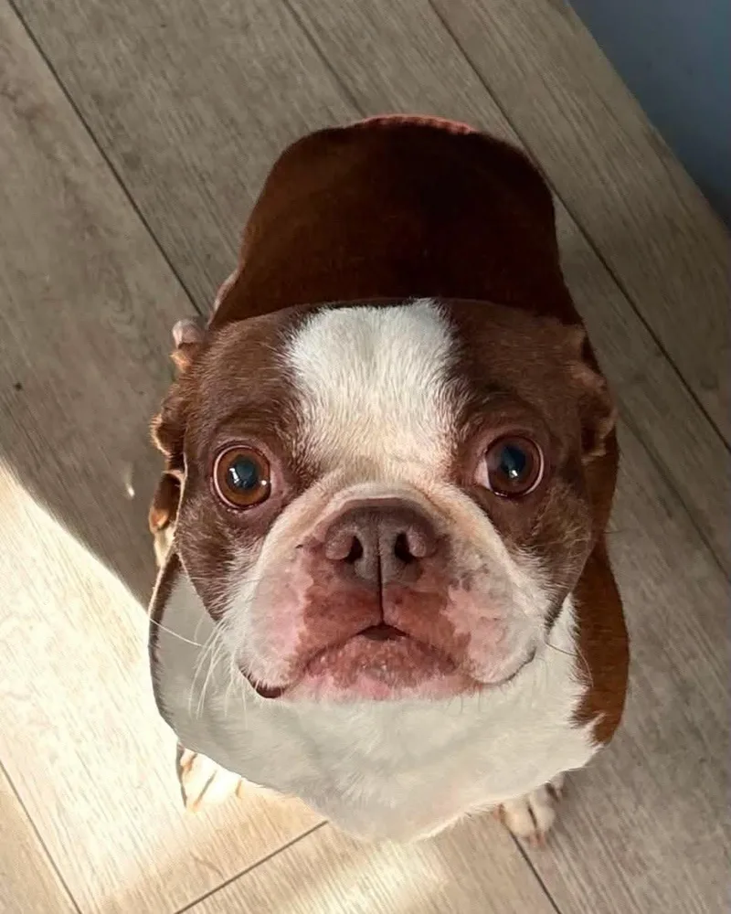 Mama Coco thumbnail 3