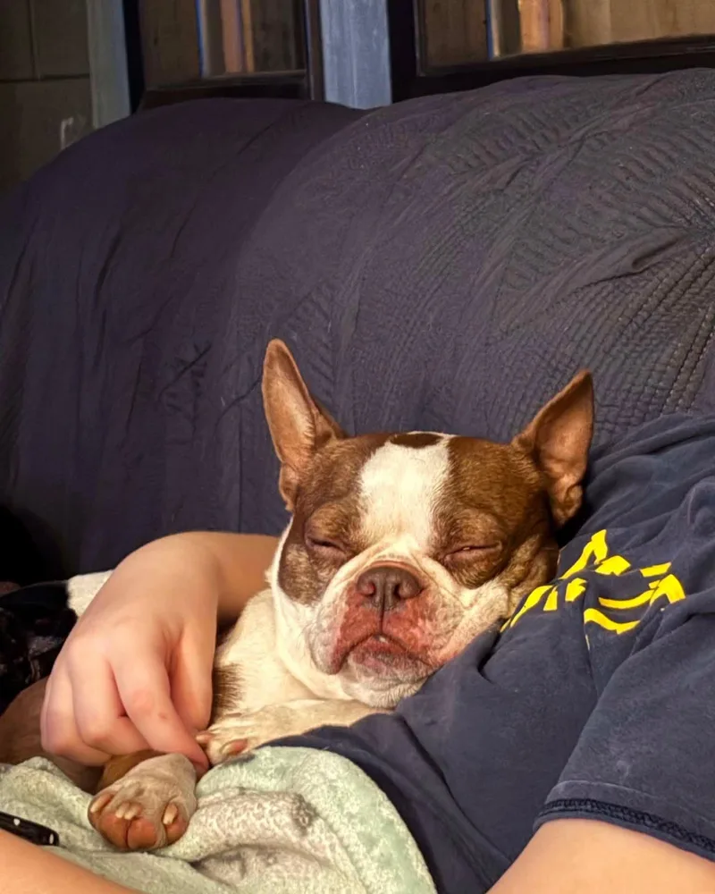 Mama Coco thumbnail 6