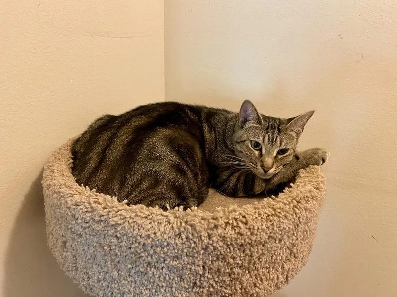 Sasha Rc thumbnail 2