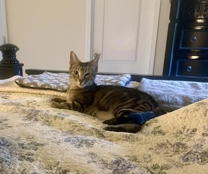 Sasha Rc thumbnail 3