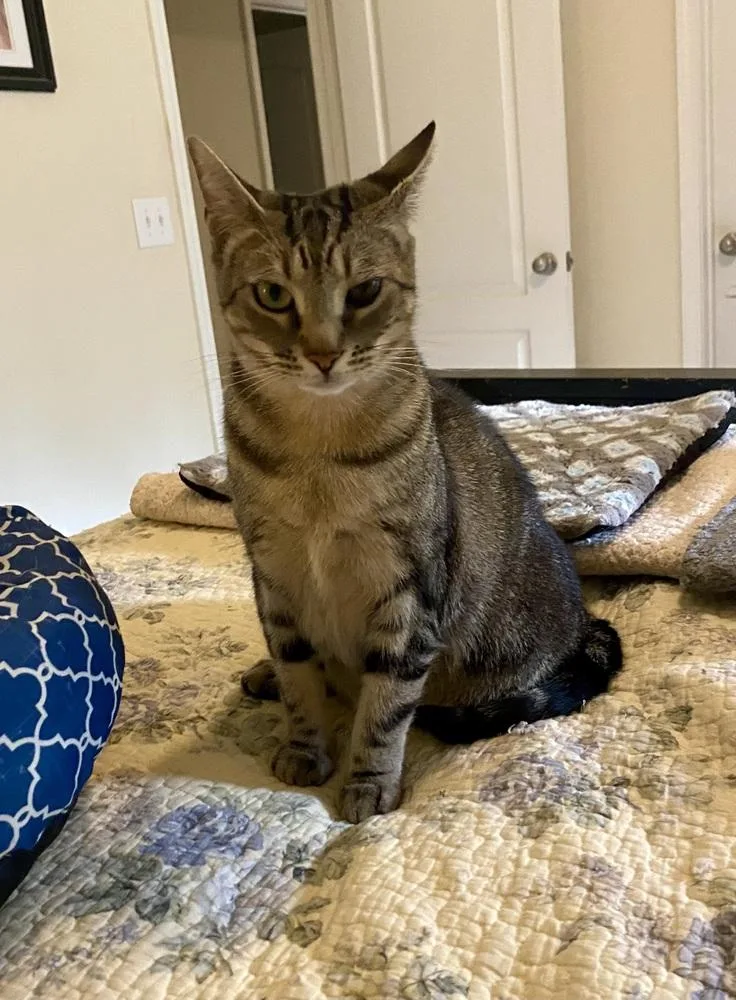 Sasha Rc thumbnail 5