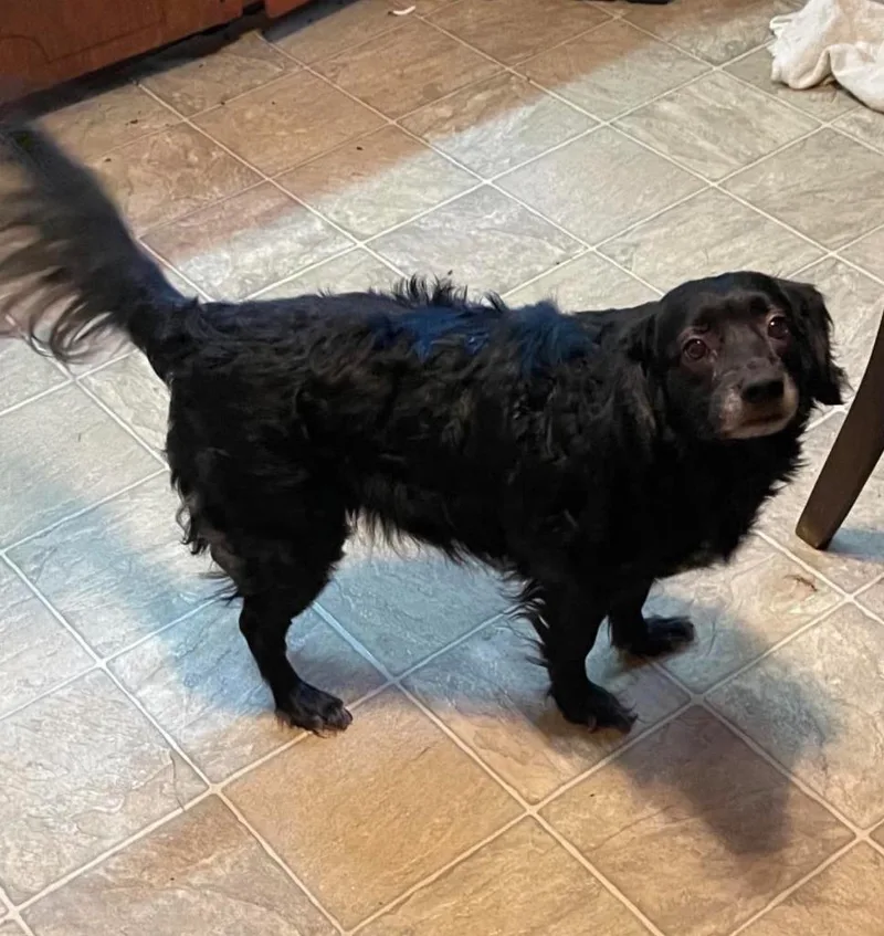 Bella