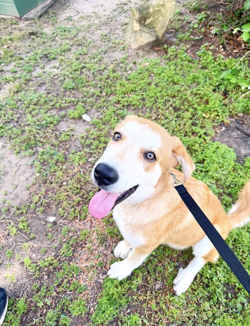 Ernie thumbnail 3