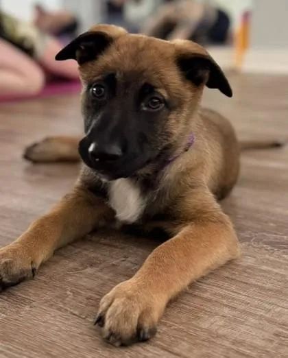 Bonnie