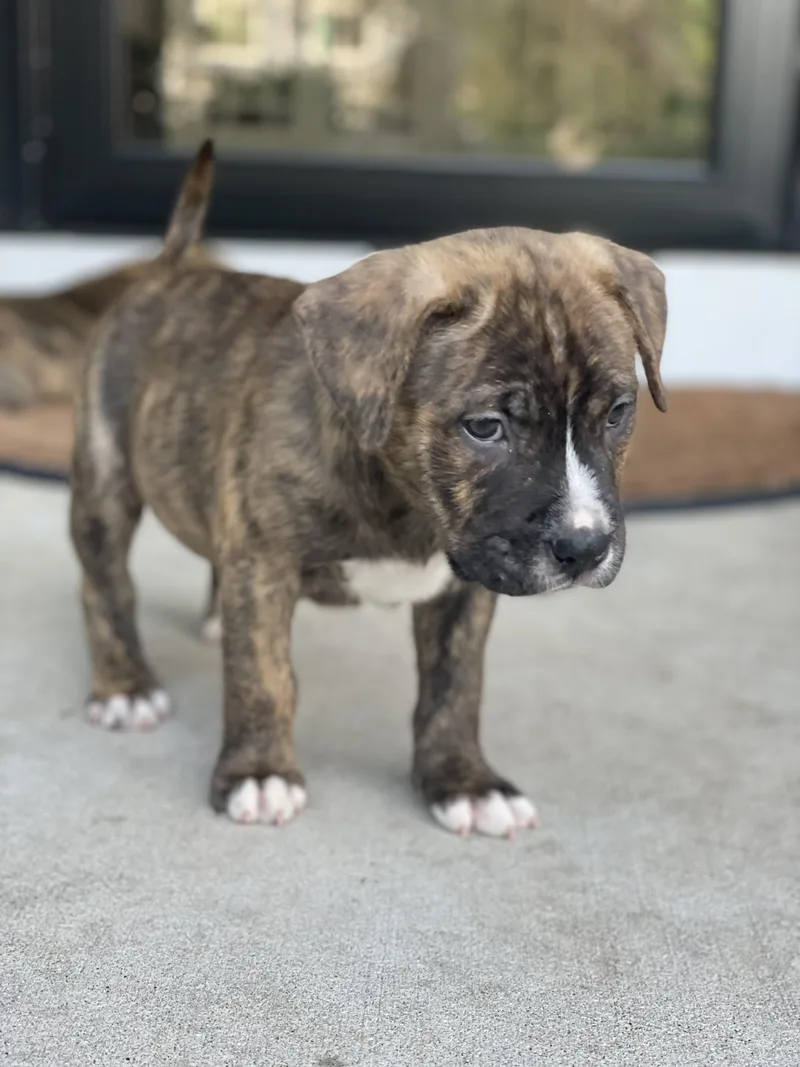 Jax