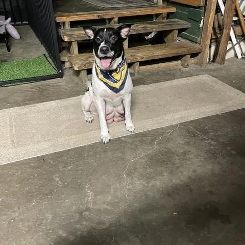 Mya