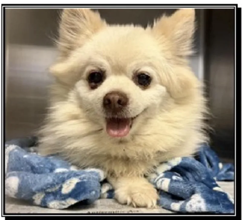 Rocky Little Bit thumbnail 2