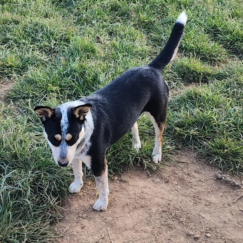 Mrs. Ebony thumbnail 2