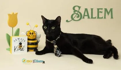 Salem