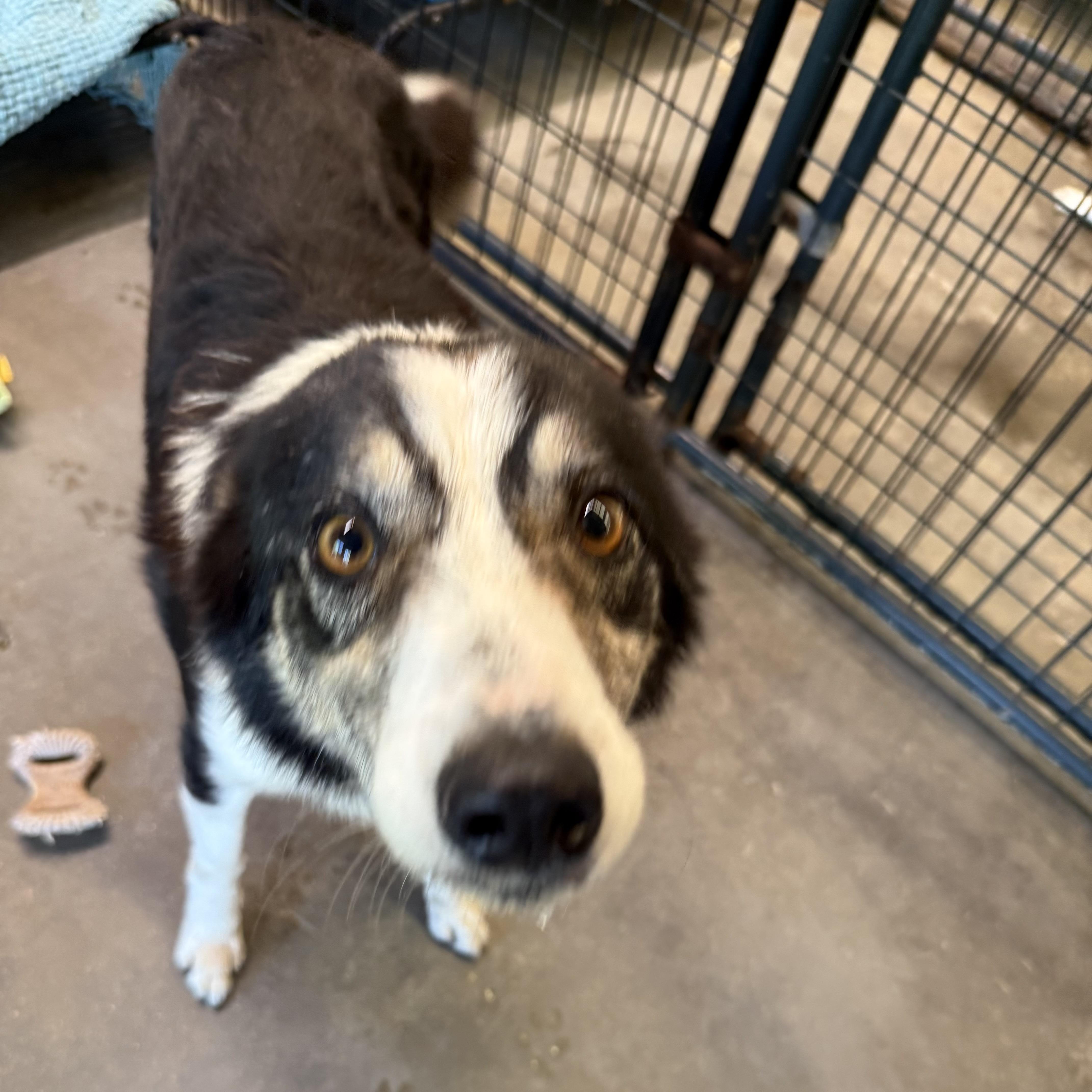 Jack Johnson thumbnail 3