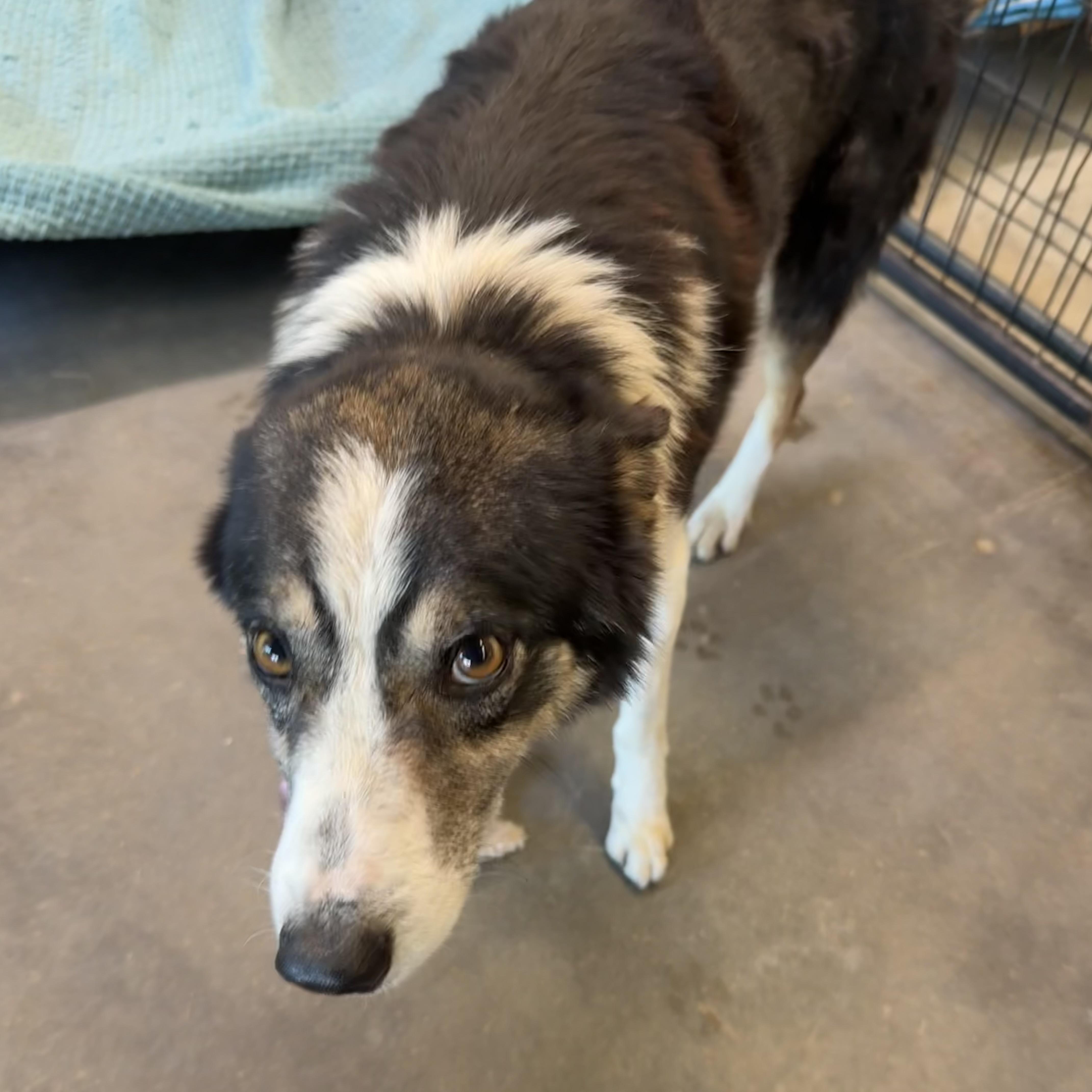 Jack Johnson thumbnail 5