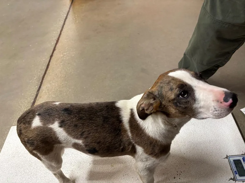 Starbucks thumbnail 2