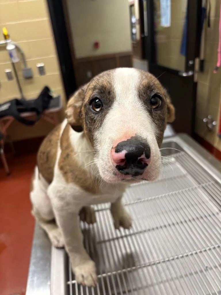 Starbucks thumbnail 3