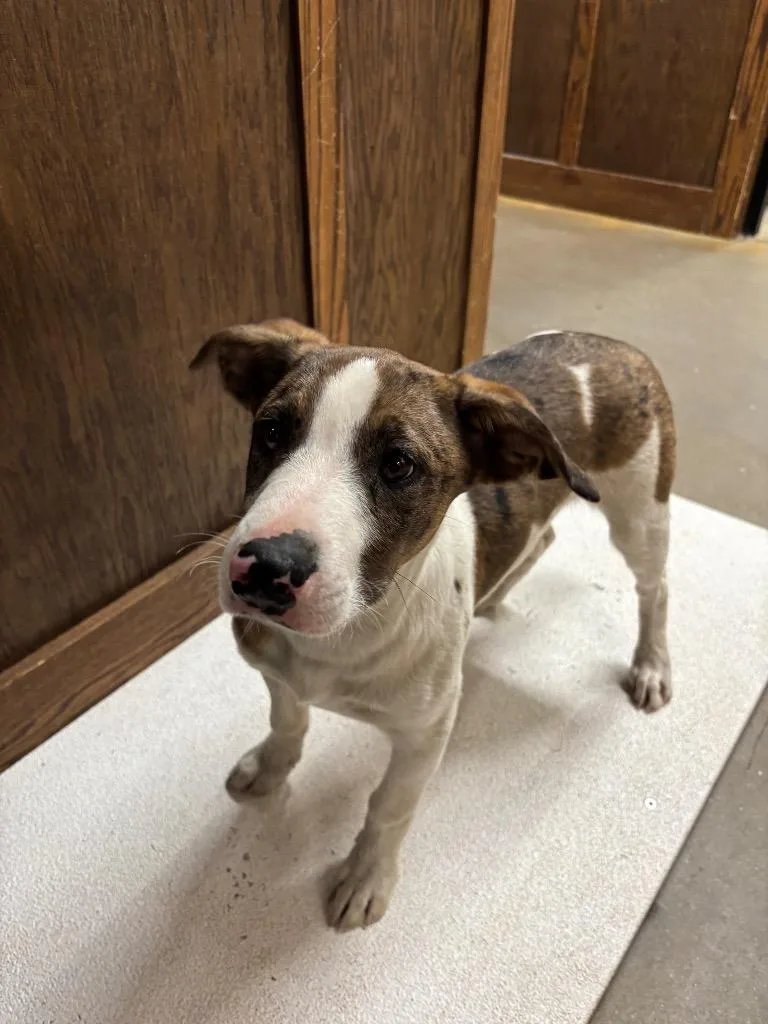 Starbucks thumbnail 5