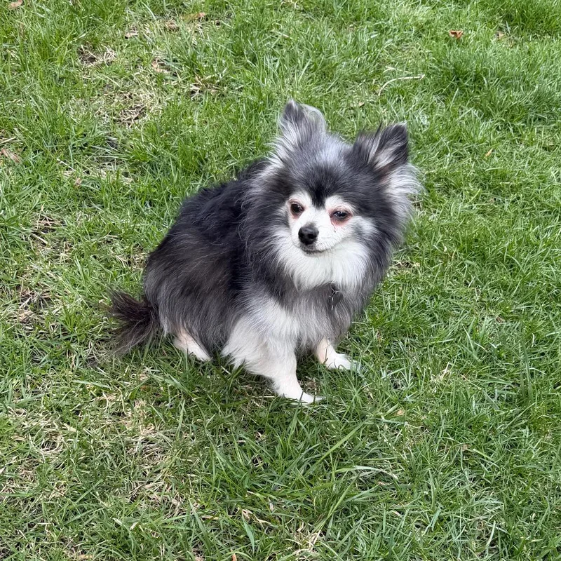 Paco  Home to