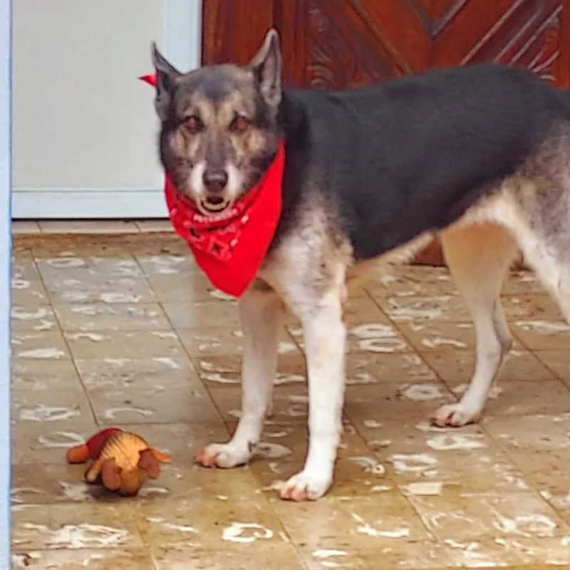 Saphira "pretty For You." thumbnail 2