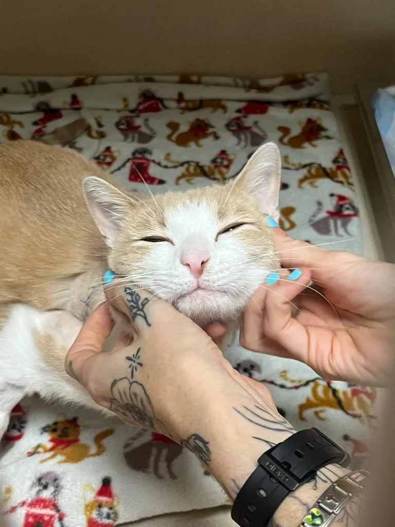 Colby thumbnail 2