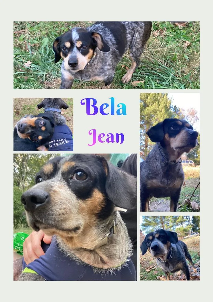 Bela Jean