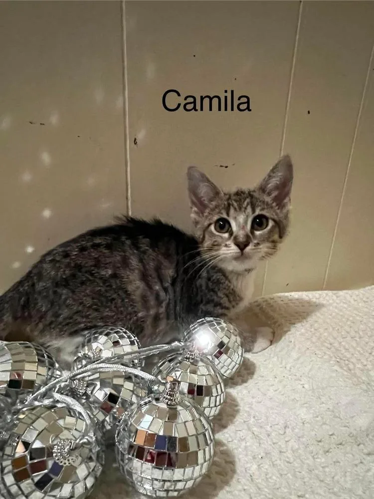 Camila thumbnail 2