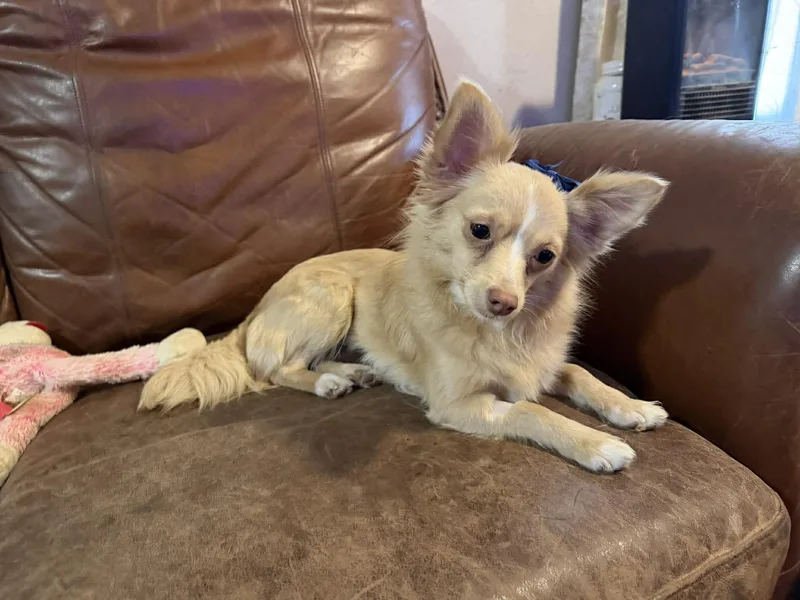 Mila   $ thumbnail 3