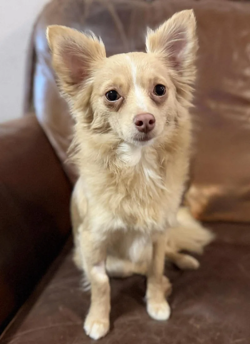 Mila   $ thumbnail 4