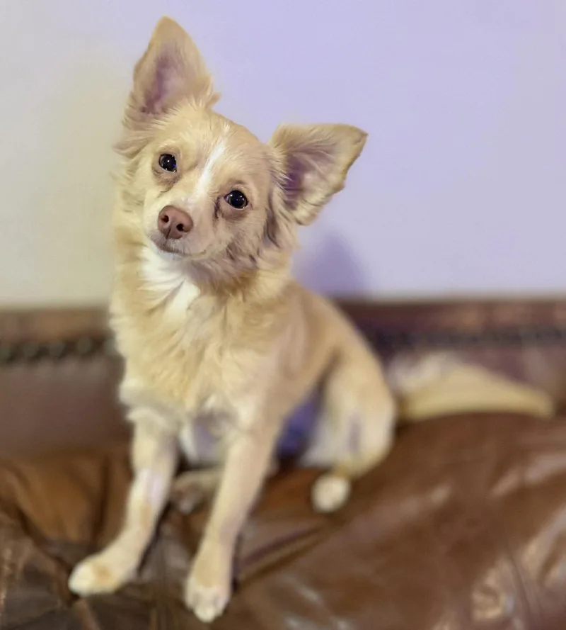 Mila   $ thumbnail 5