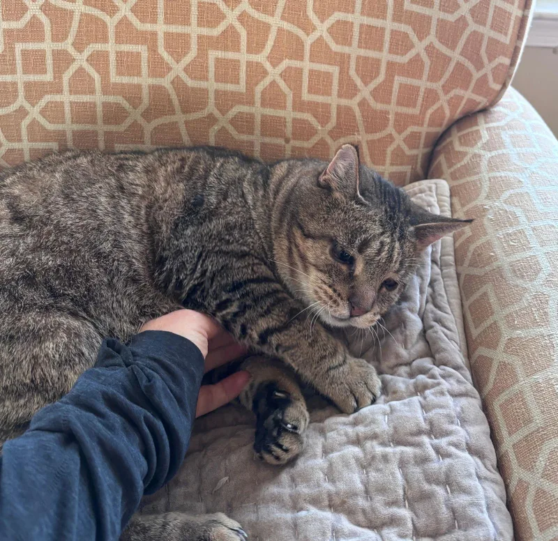 Crumblec thumbnail 2