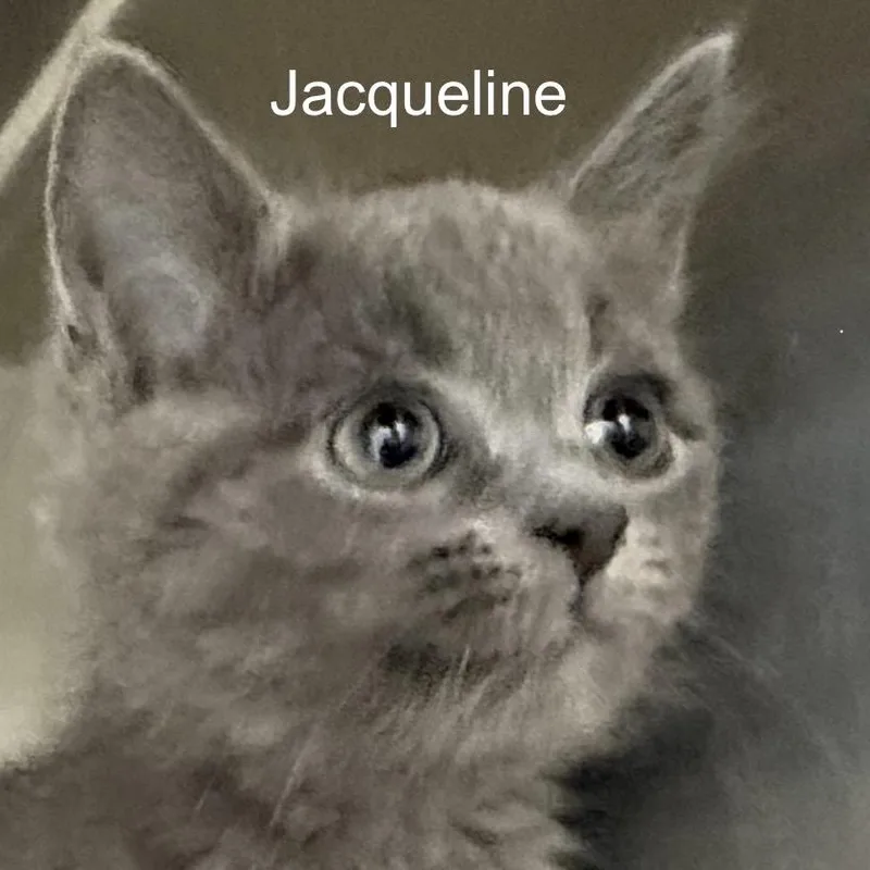 Jacqueline thumbnail 4