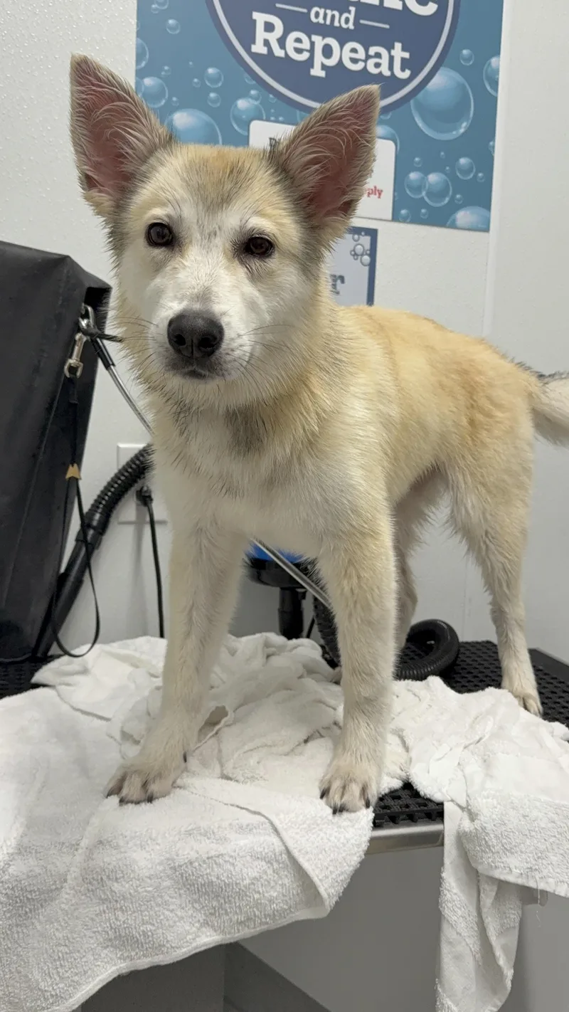 Zoe
