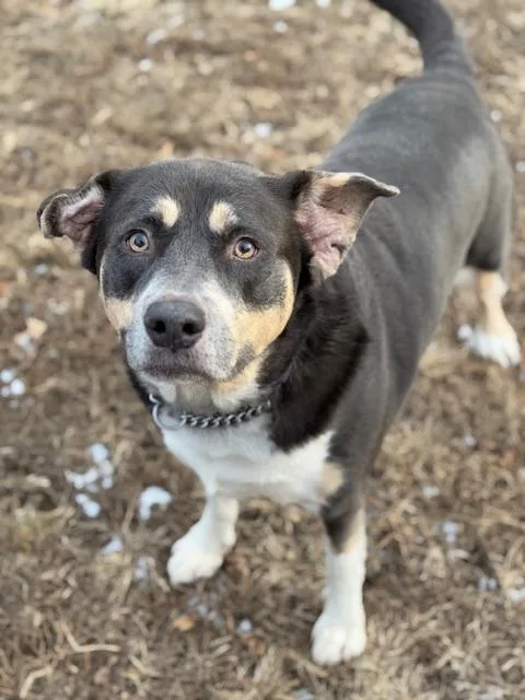 Sutherland thumbnail 2