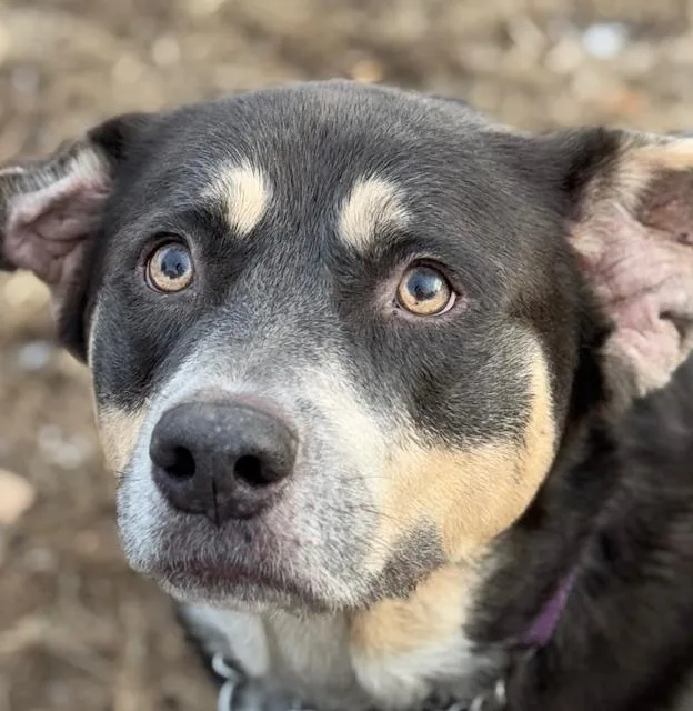 Sutherland thumbnail 4