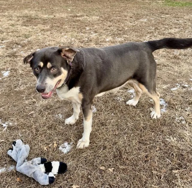 Sutherland thumbnail 5