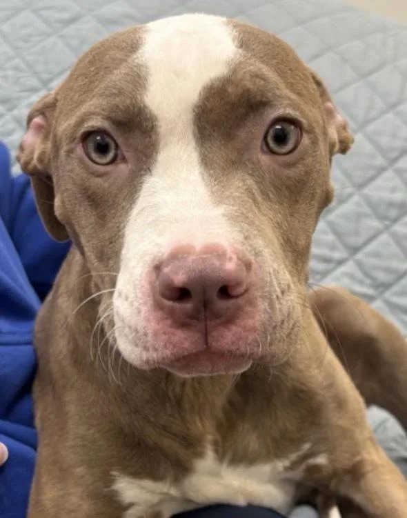 Katie Mae thumbnail 2