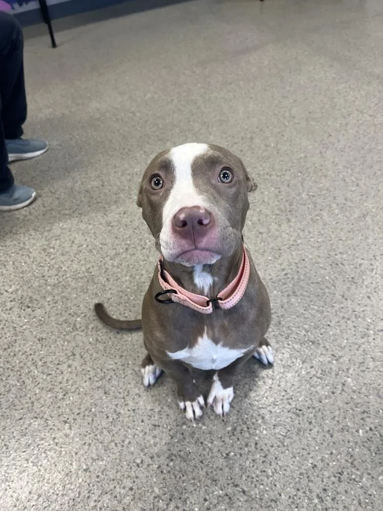 Katie Mae thumbnail 3