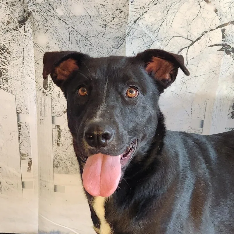 Ruby Jum thumbnail 2