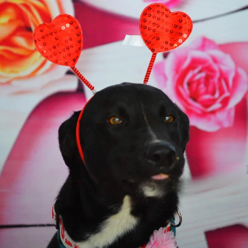 Ruby Jum thumbnail 5