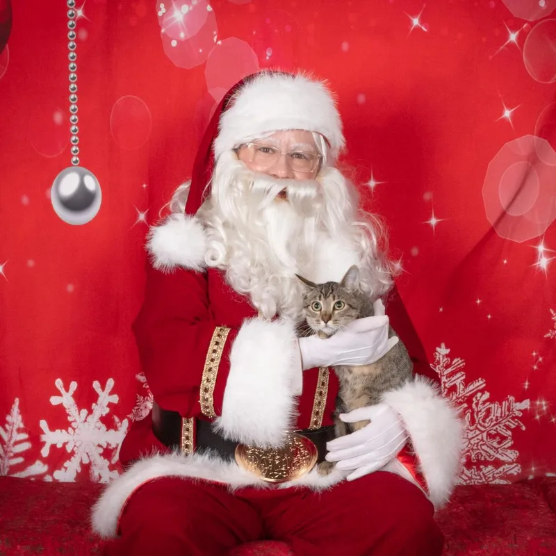 Thibodeaux thumbnail 4