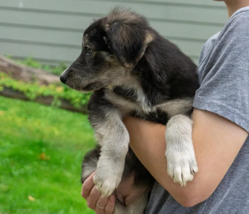 Brynlee thumbnail 4