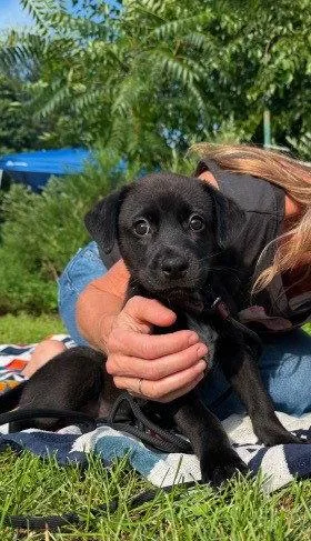 Kai