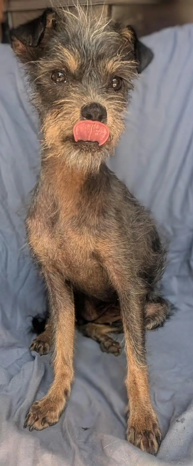 Delilah