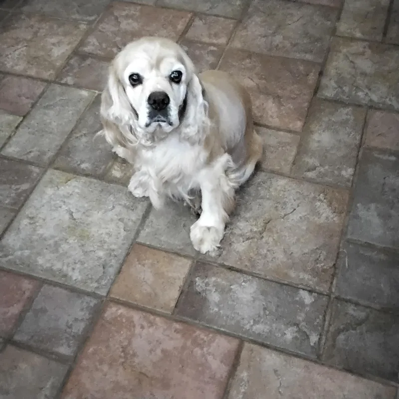 Peggy thumbnail 2
