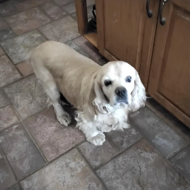 Peggy thumbnail 3