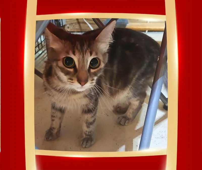 Serenity thumbnail 3